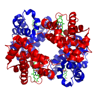 Hémoglobine
